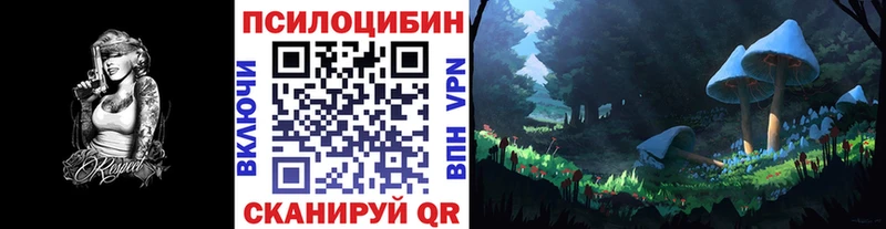Псилоцибиновые грибы Psilocybine cubensis Ершов