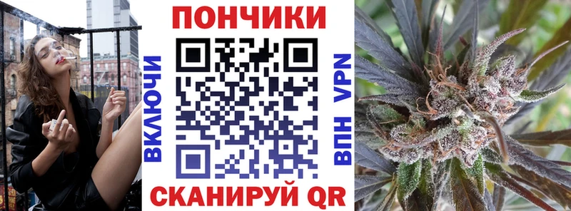 закладка Ершов Каннабис ГИДРОПОН